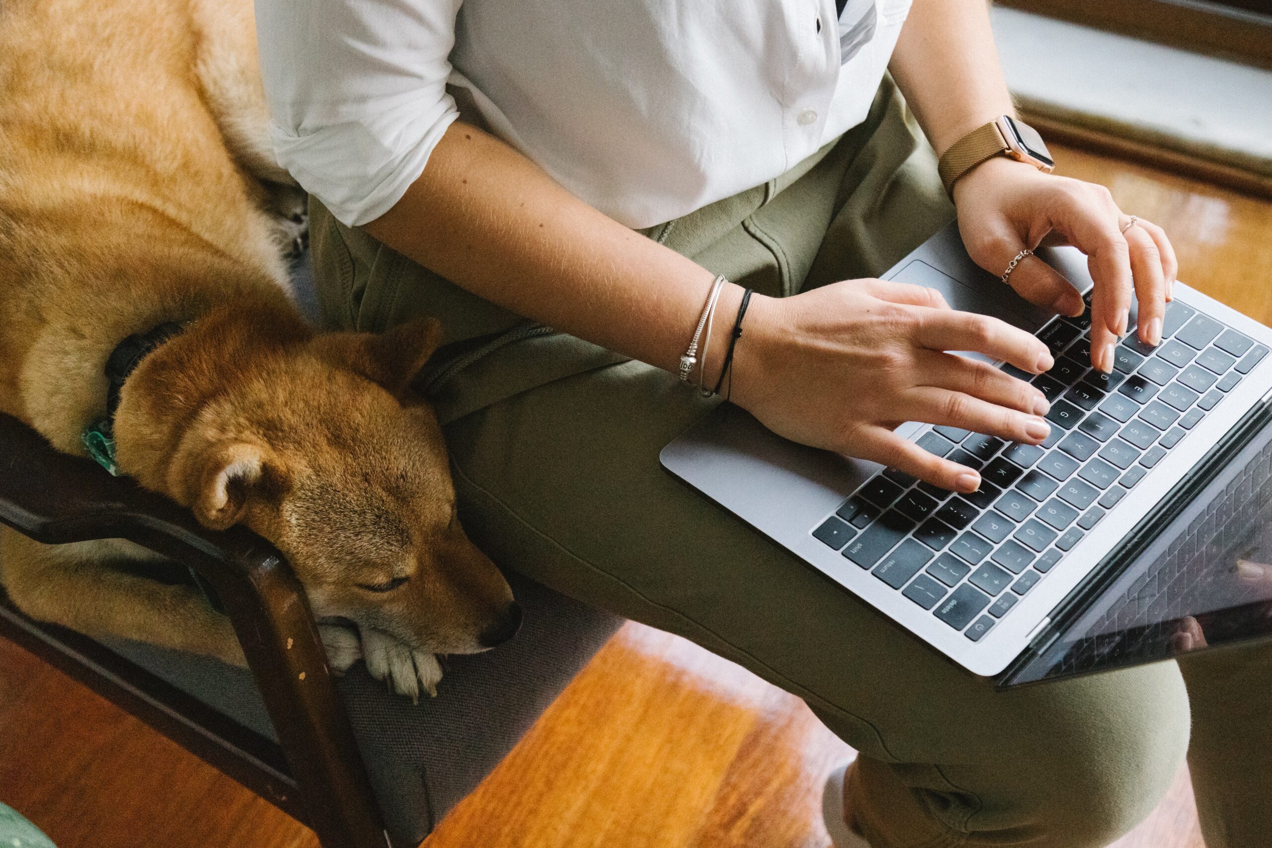03_Pet-friendly-stays-are-extremely-popular-but-hosts-need-to-take-extra-care-when-it-comes-to-cleaning-the-property_-scaled